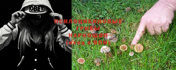 бутират Елабуга