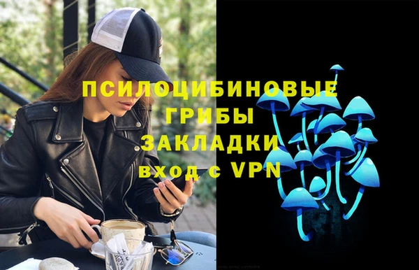 mdpv Мегион