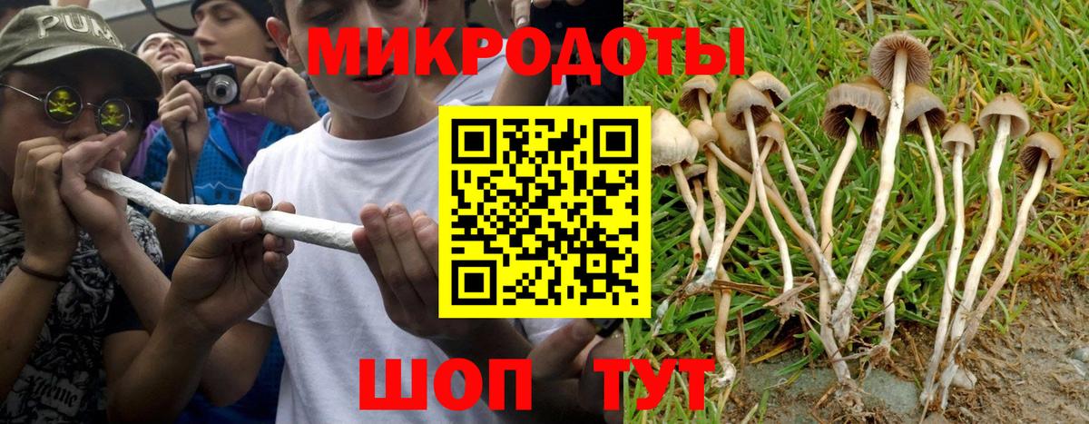 Россия  Галлюциногенные грибы прущие грибы  Галлюциногенные грибы MAGIC MUSHROOMS  как найти наркотики  Вход с VPN 